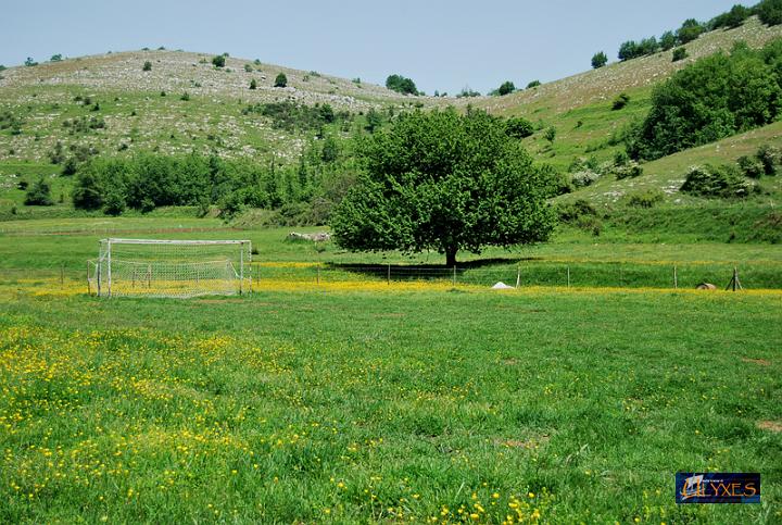 campo di calcio.JPG